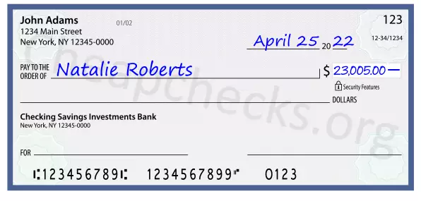 23005.00 dollars written on a check