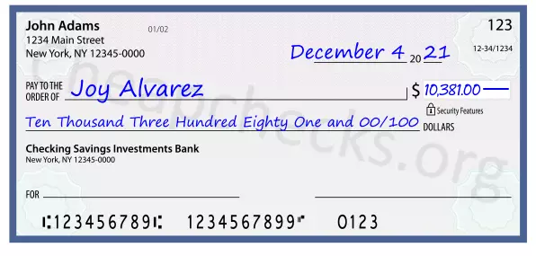 Ten Thousand Three Hundred Eighty One and 00/100 filled out on a check