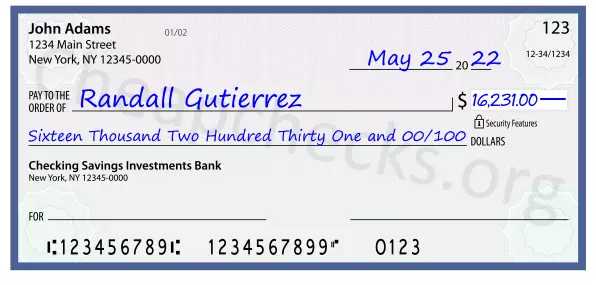 Sixteen Thousand Two Hundred Thirty One and 00/100 filled out on a check