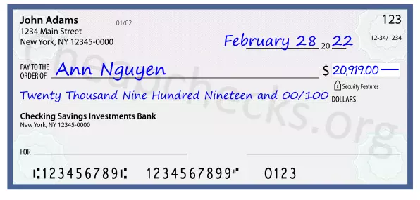 Twenty Thousand Nine Hundred Nineteen and 00/100 filled out on a check