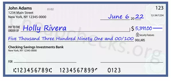 Five Thousand Three Hundred Ninety One and 00/100 filled out on a check