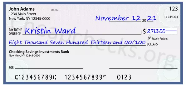 Eight Thousand Seven Hundred Thirteen and 00/100 filled out on a check